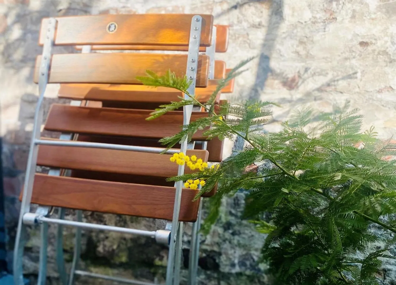 Zehuus Gartenstudio Mit Terrasse Köln